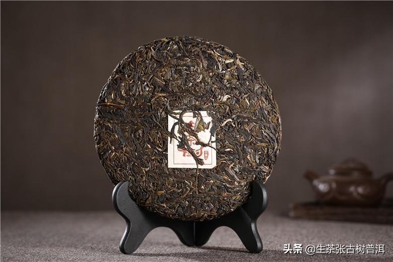 云南普洱茶十大名牌(云南十大最古老的普洱茶树排名)插图11
