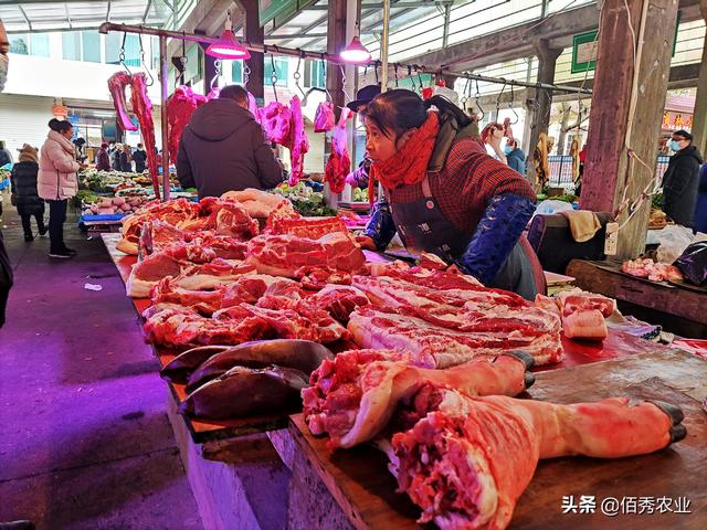 中国十大黑猪品种排名(中国目前养殖的猪品种)插图2