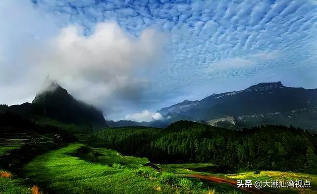 中国最美十大森林排行榜(中国最美自然景观)插图7