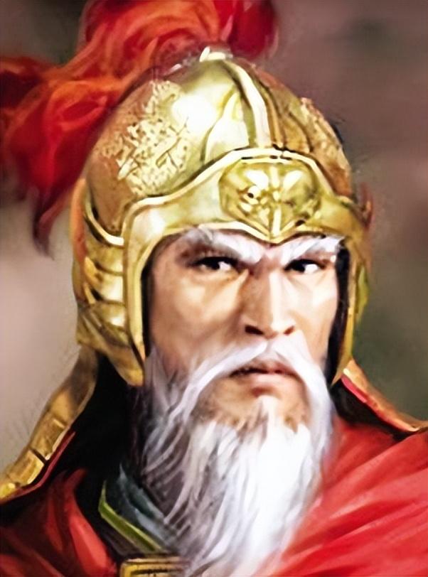 中国十大爱国人物(史上最伟大的十位民族英雄)插图6