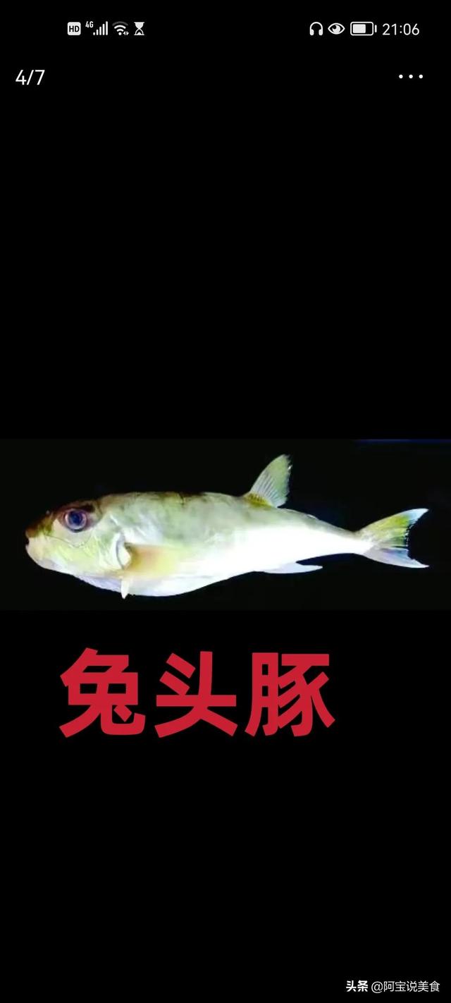 中国十大最脏鱼(十大不愁销路的鱼)插图