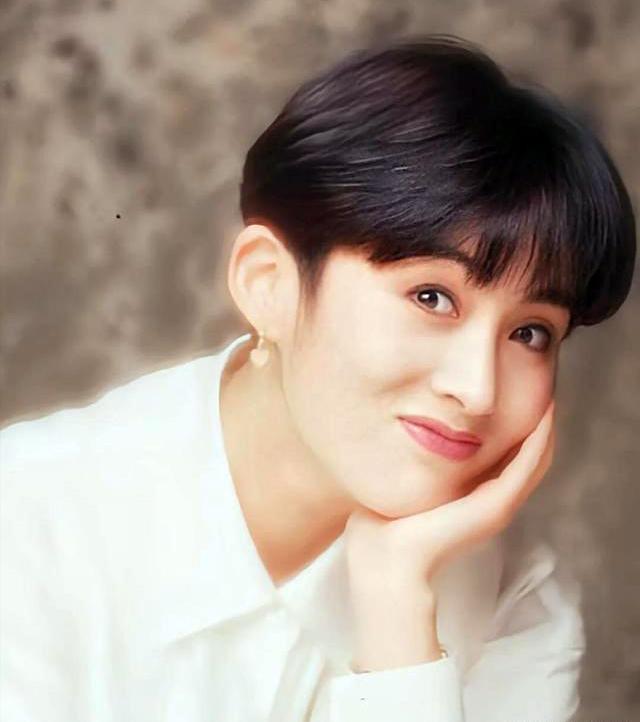 香港女星颜值巅峰排名(90年代十大美女明星颜值排名)插图20