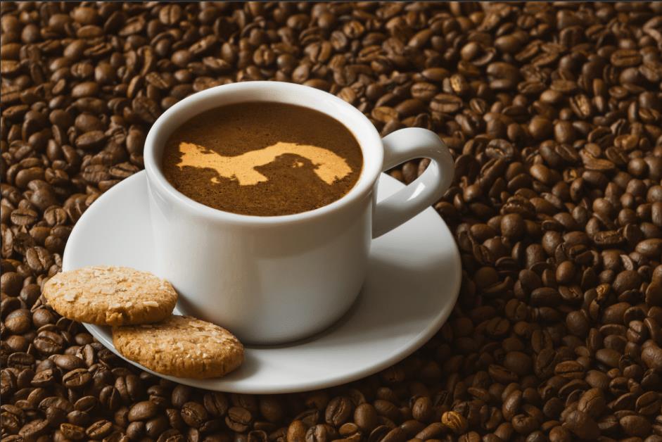 世界十大顶级咖啡豆排行榜(0种世界上最贵的咖啡)插图5