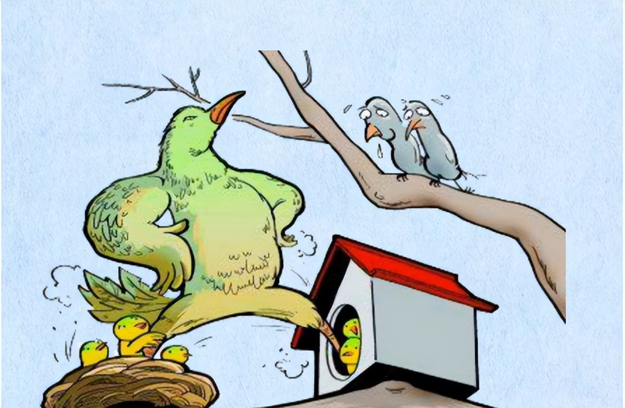 斑鸠的毒性有多可怕(成年野生斑鸠有什么危险)插图