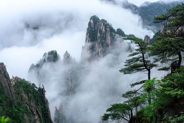 中国十大最美森林(中国森林覆盖率卫星图)插图1