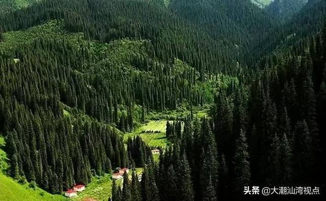 中国最美十大森林排行榜(中国最美自然景观)插图4