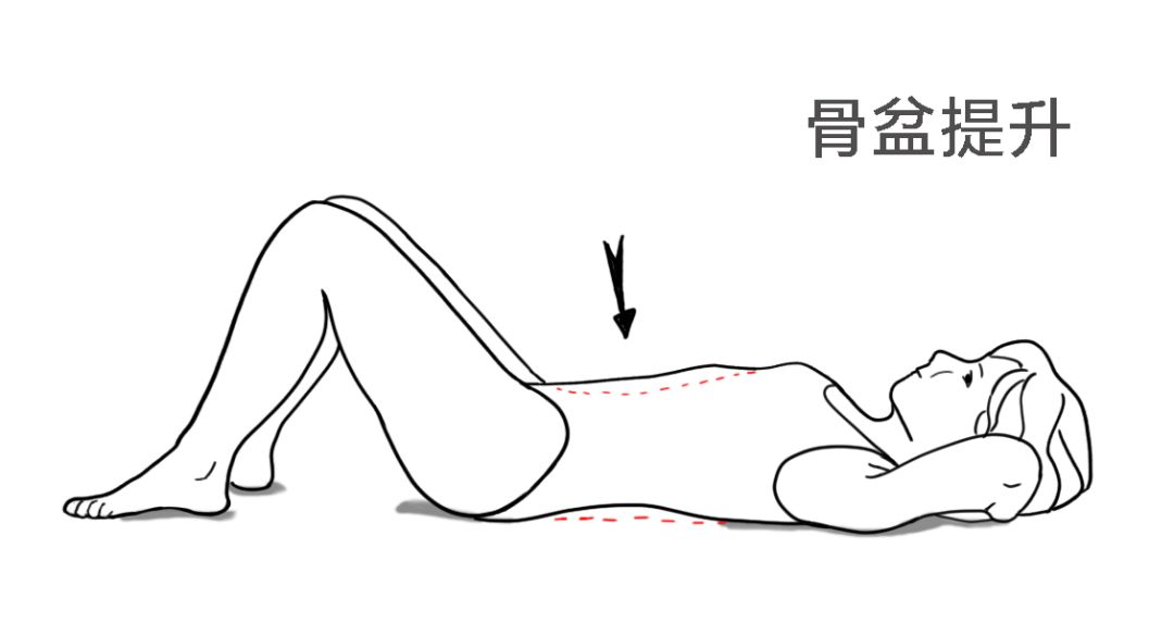 十大最佳腰部训练动作(简单实用的10个腰椎保健动作)插图4