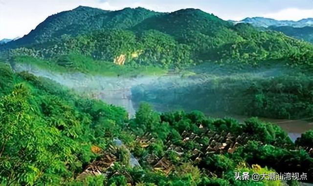 中国最美十大森林排行榜(中国最美自然景观)插图6