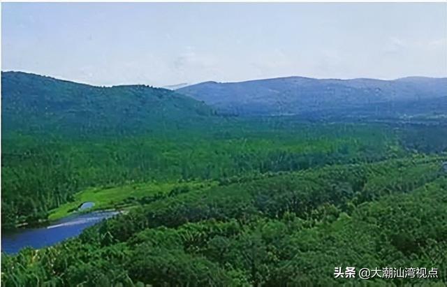 中国最美十大森林排行榜(中国最美自然景观)插图8