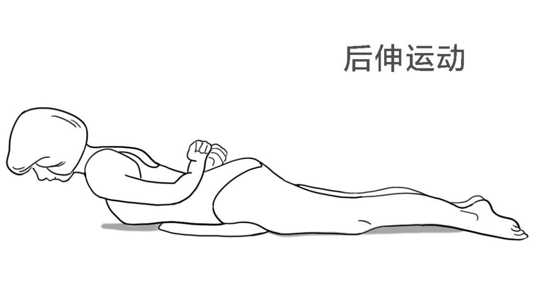 十大最佳腰部训练动作(简单实用的10个腰椎保健动作)插图5