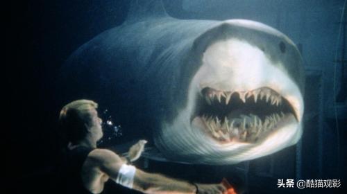 十大恐怖片鲨鱼(10部高分鲨鱼电影，场面很吓人)插图1