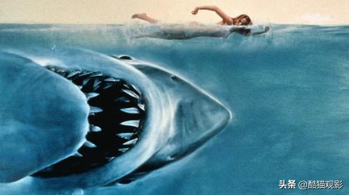 十大恐怖片鲨鱼(10部高分鲨鱼电影，场面很吓人)插图