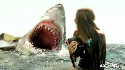 十大恐怖片鲨鱼(10部高分鲨鱼电影，场面很吓人)插图2