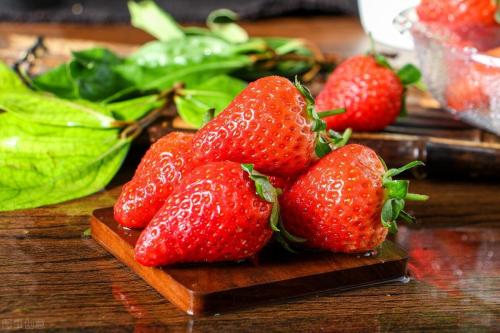 草莓品种哪个好吃(国内十大最受欢迎的草莓品种)插图